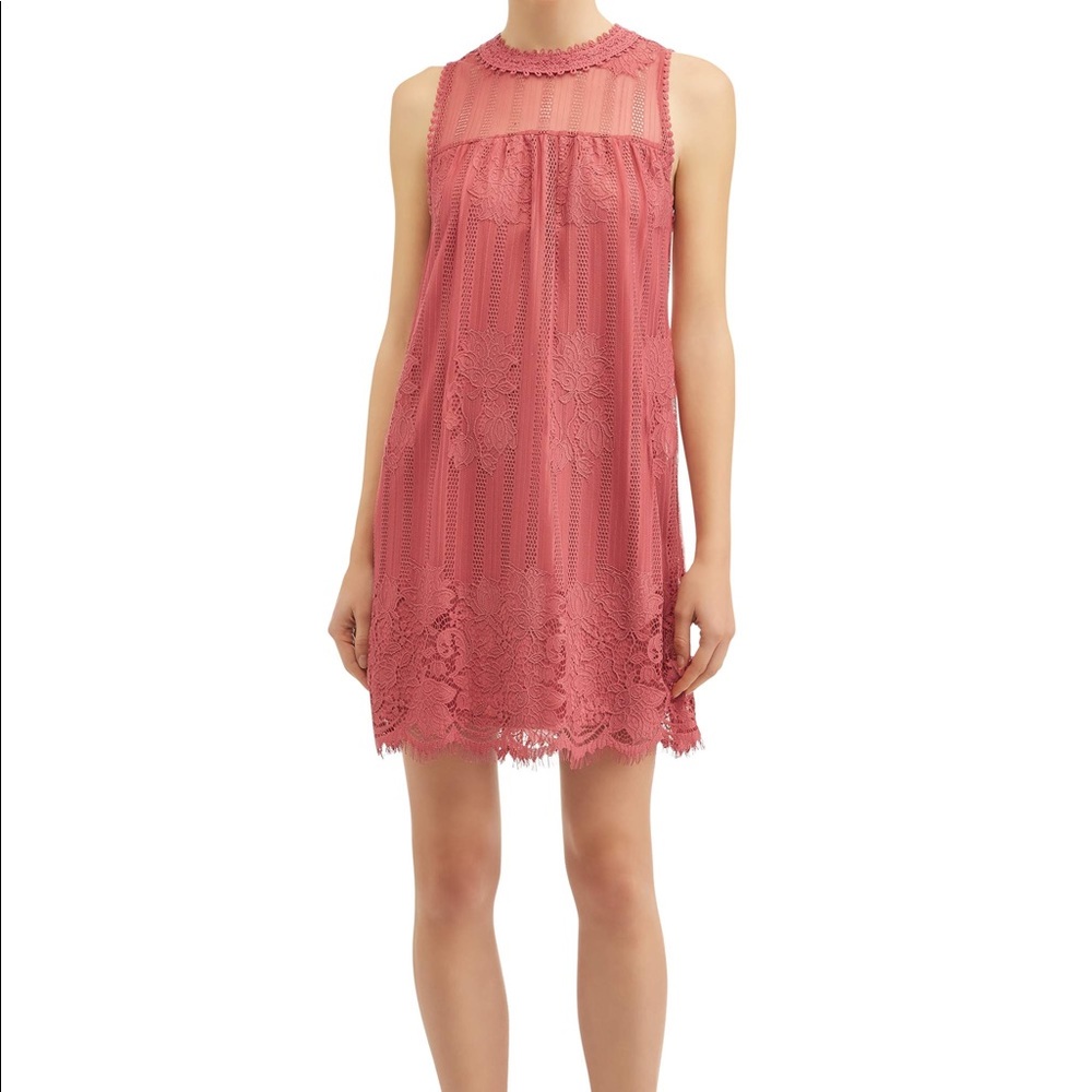 Rose lace dress | No Boundaries